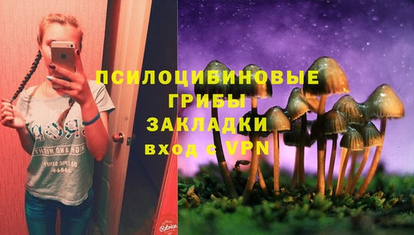мескалин Бородино