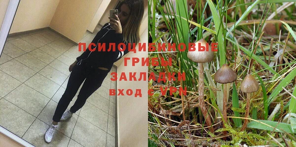 мескалин Бородино
