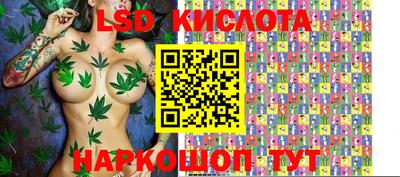гашик Волжск