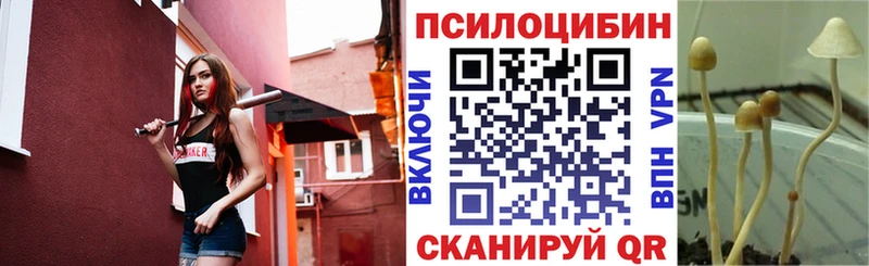 Галлюциногенные грибы мицелий  купить наркоту  Можайск 