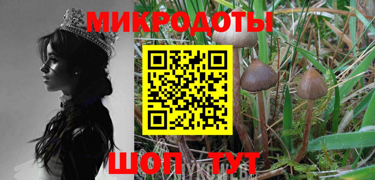 Галлюциногенные грибы ЛСД Можайск
