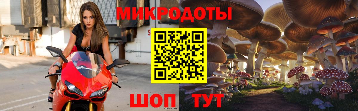 Можайск  Псилоцибиновые грибы мицелий  Вход с VPN 
